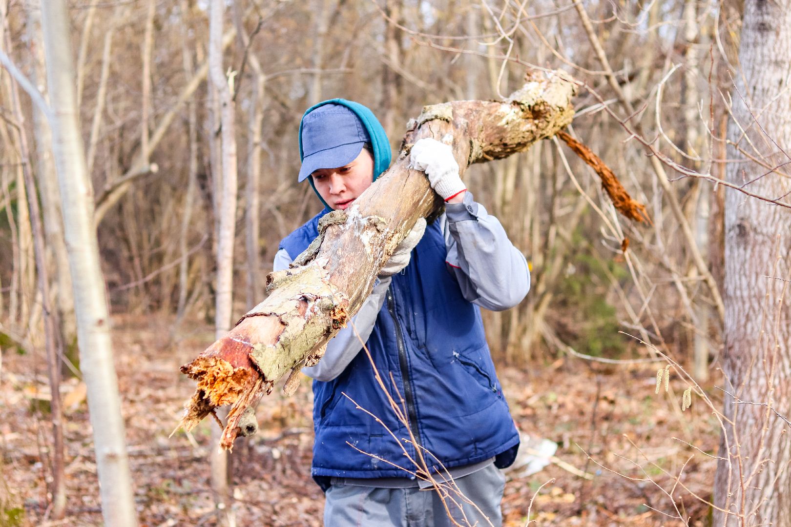 Клин, общество, субботники, благоустройство, опиловка деревьев,