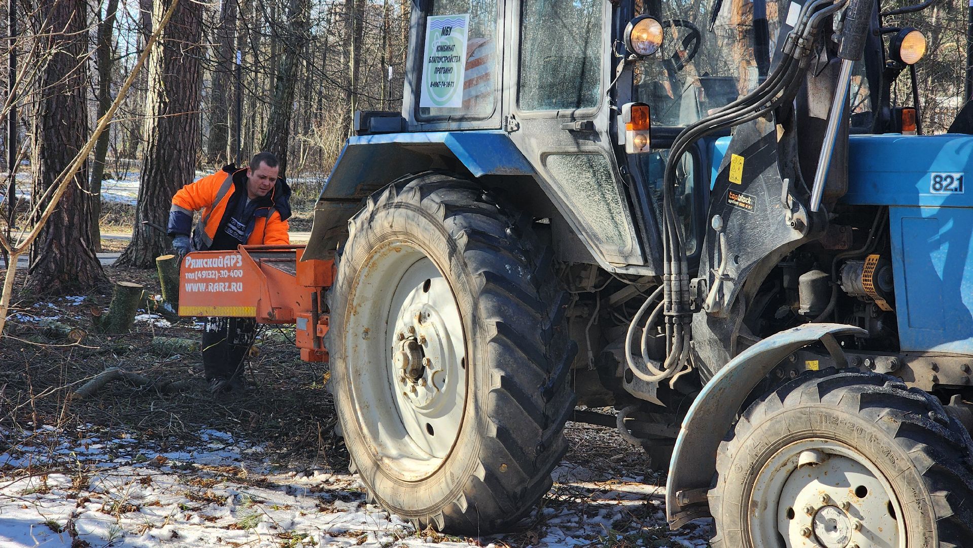протвино, комбинат благоустройства, лес за тц слава,