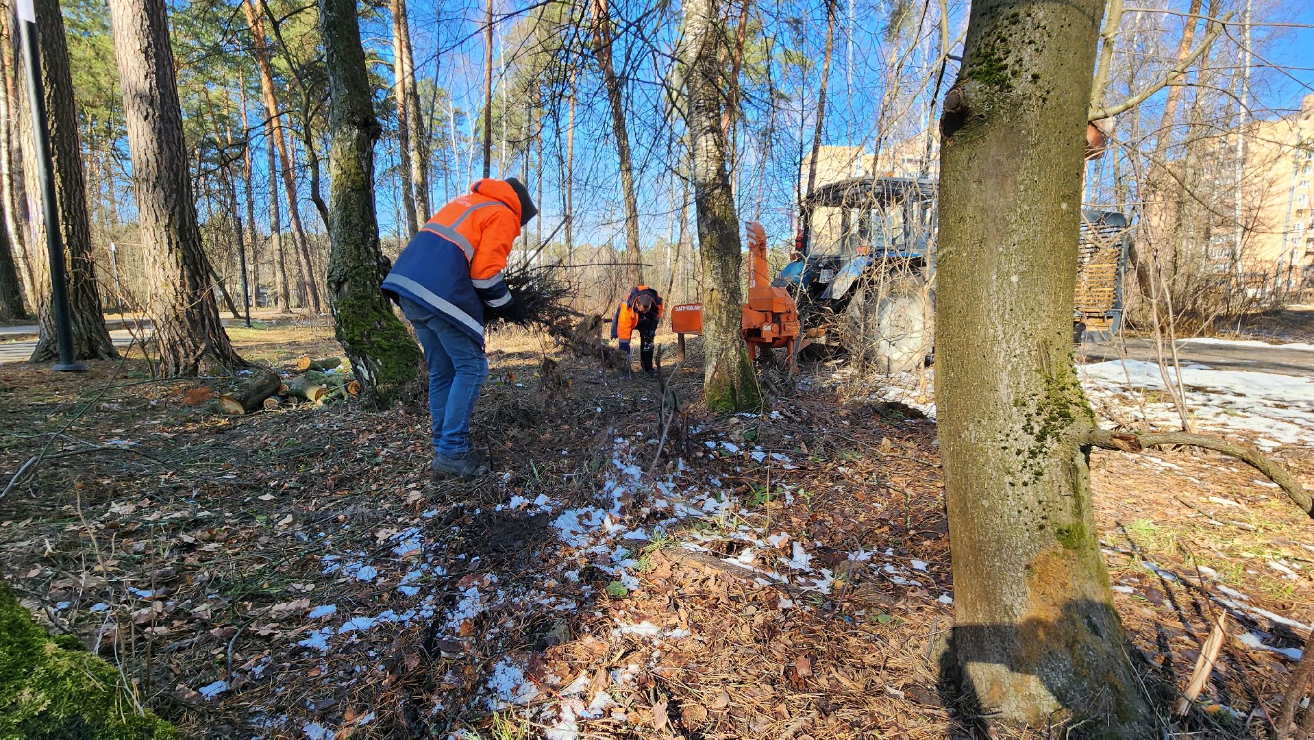 протвино, комбинат благоустройства, лес за тц слава,