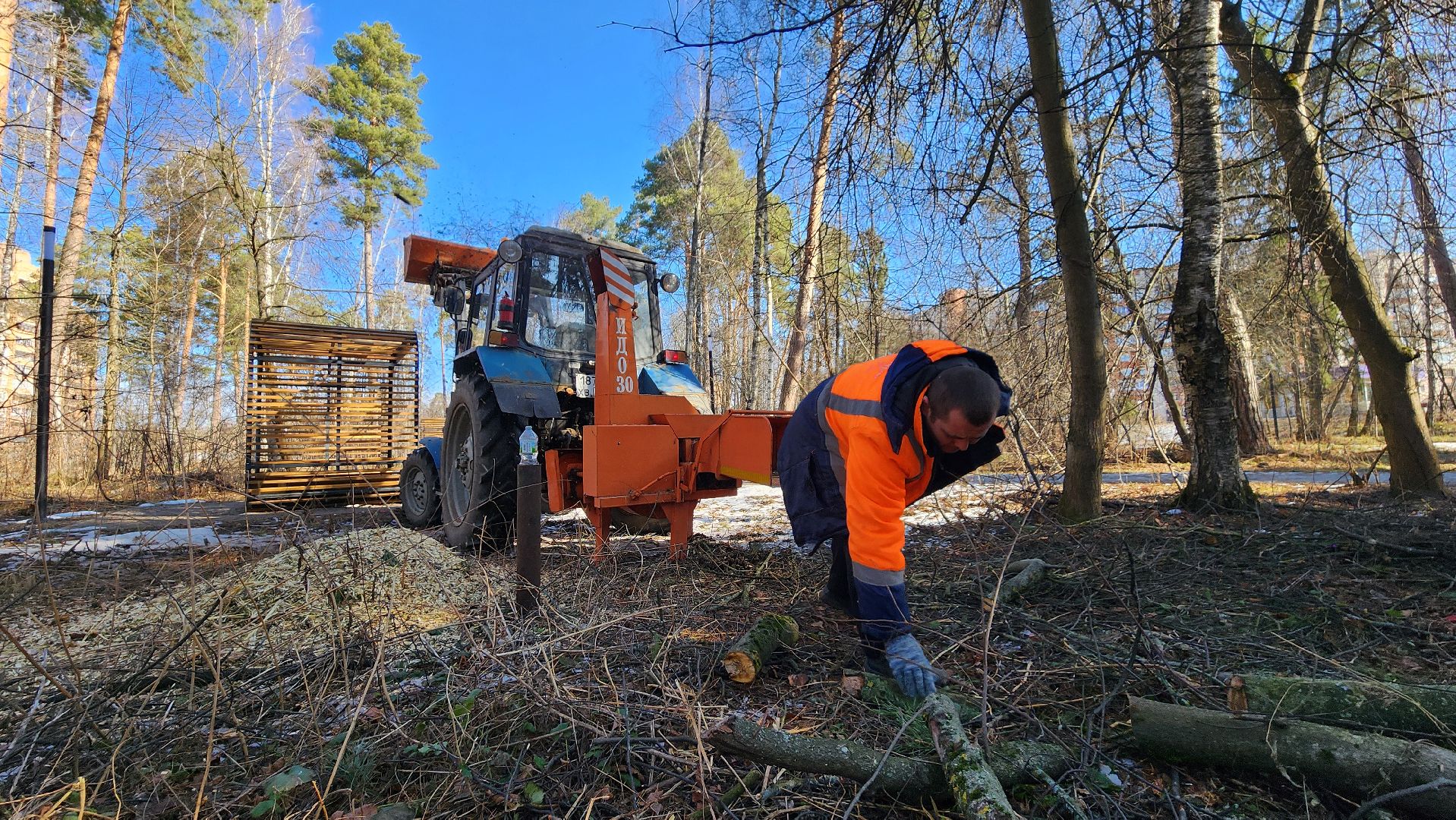 протвино, комбинат благоустройства, лес за тц слава,