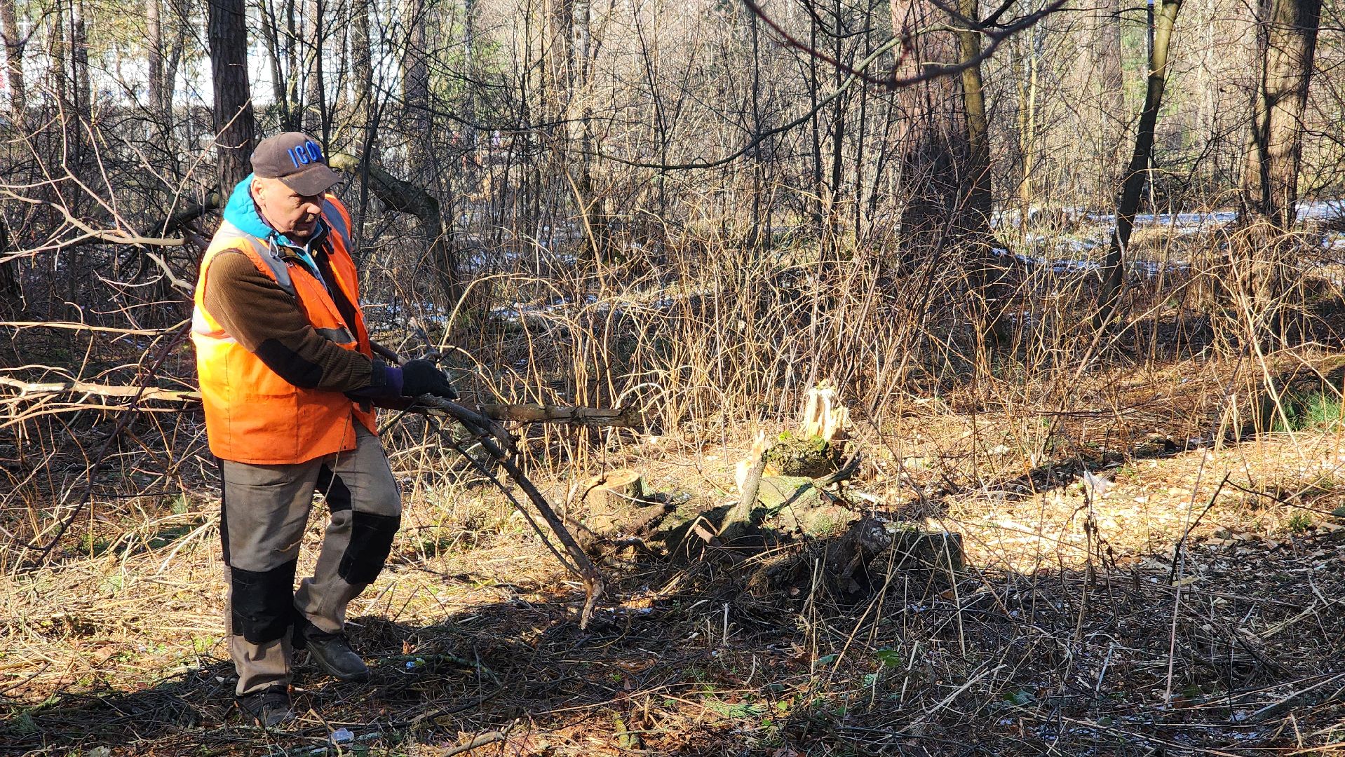 протвино, комбинат благоустройства, лес за тц слава,