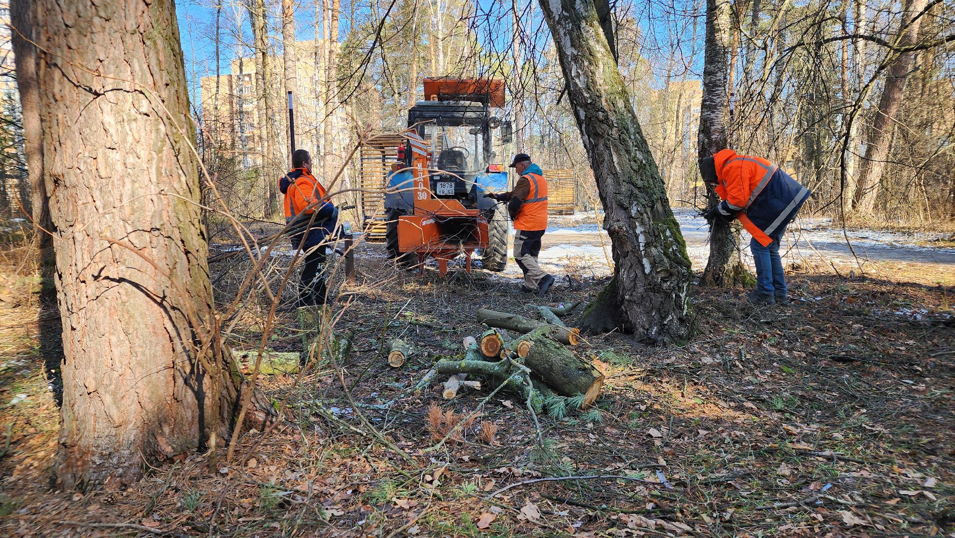 протвино, комбинат благоустройства, лес за тц слава,