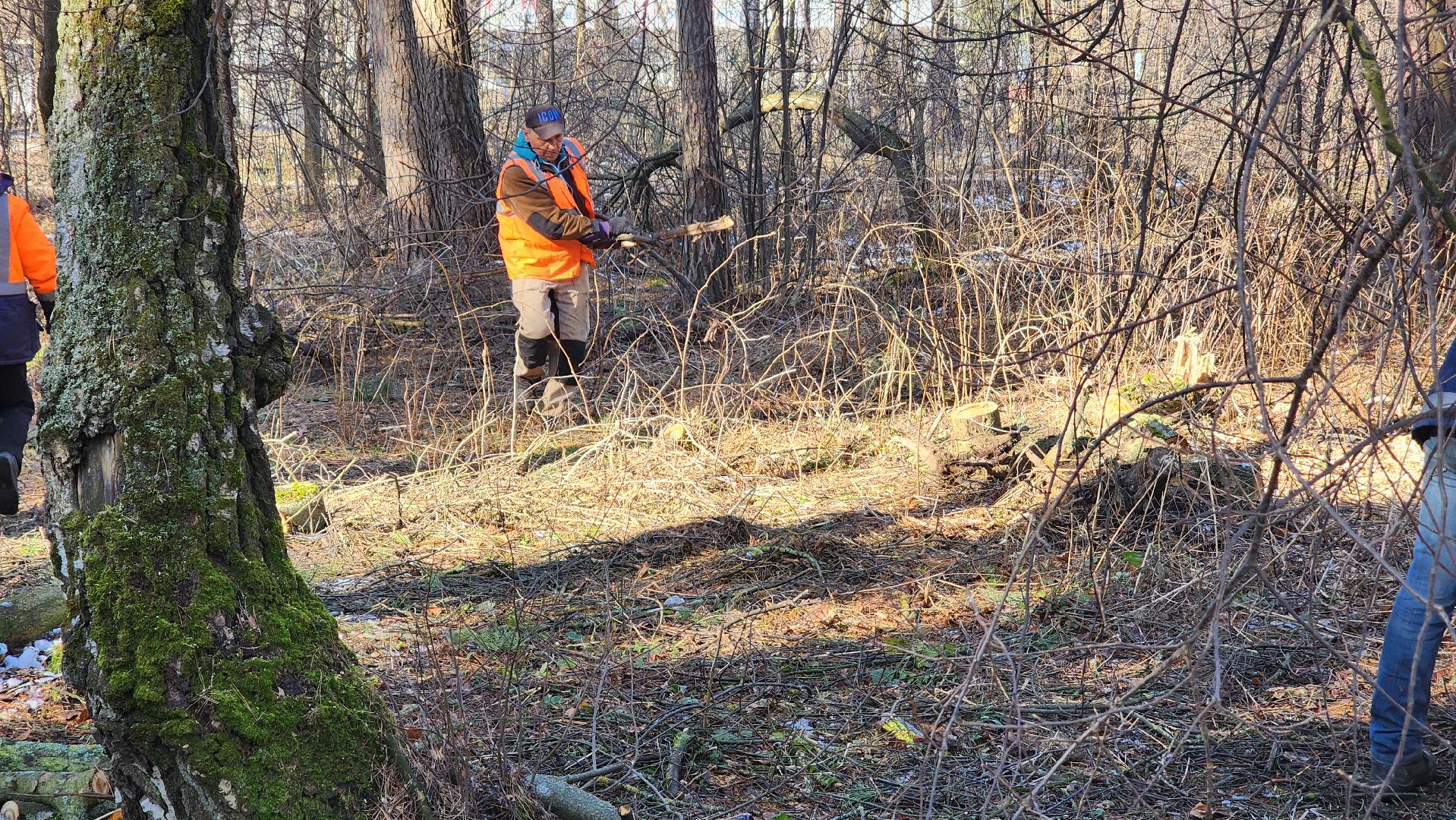протвино, комбинат благоустройства, лес за тц слава,