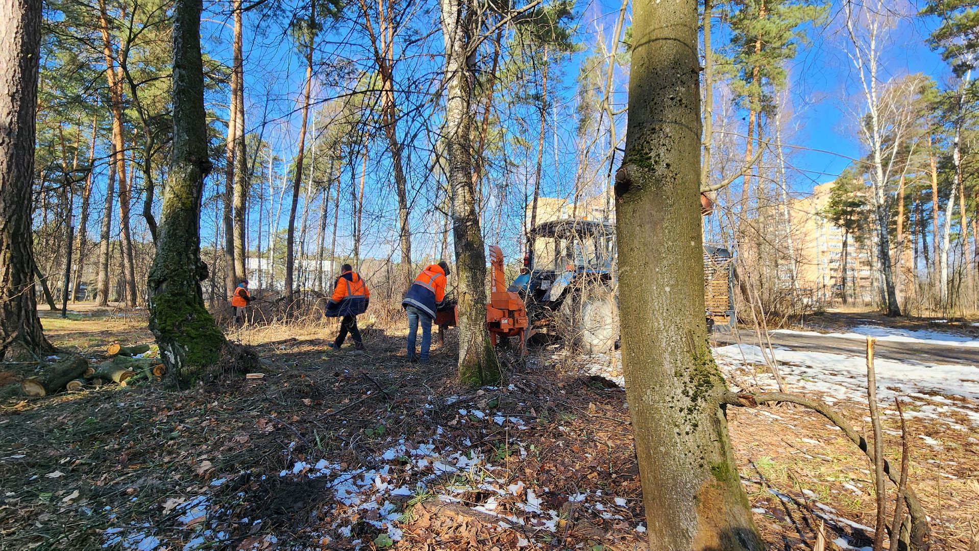 протвино, комбинат благоустройства, лес за тц слава,