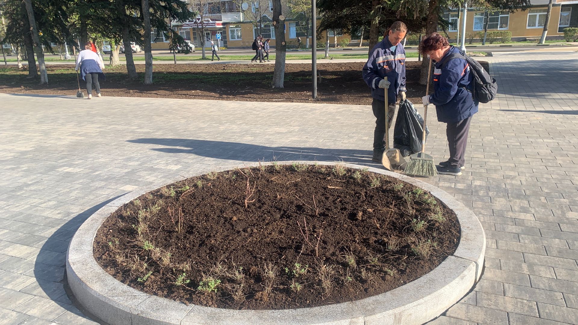 Ступино, цветы, площадь металлургов, благоустройство
