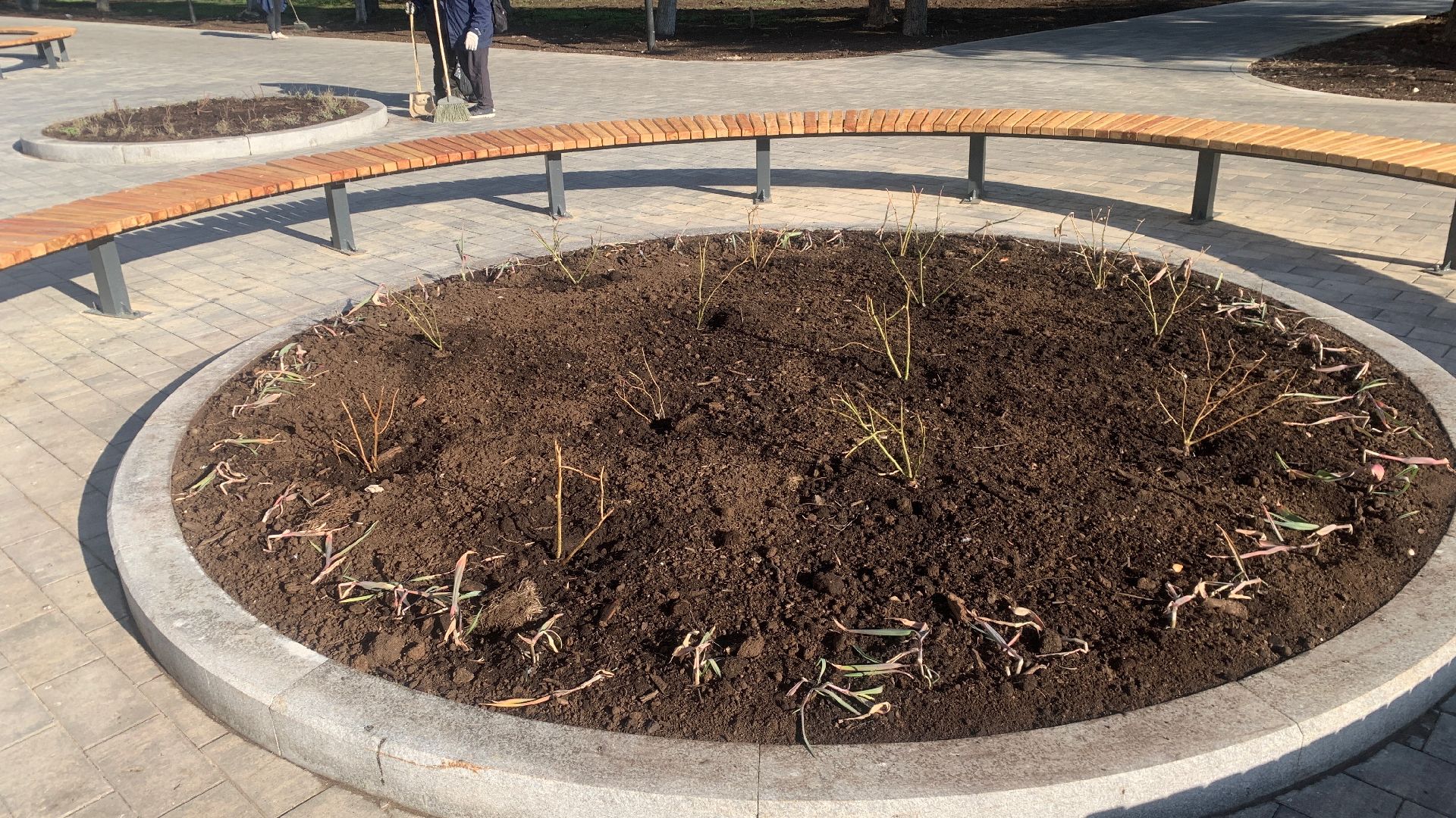 Ступино, цветы, площадь металлургов, благоустройство