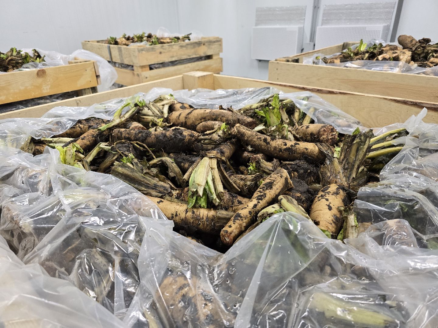 Коломна, Озеры, сельское хозяйство,