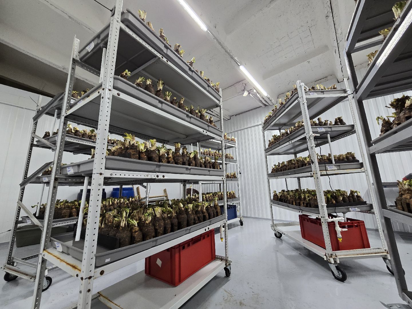 Коломна, Озеры, сельское хозяйство,