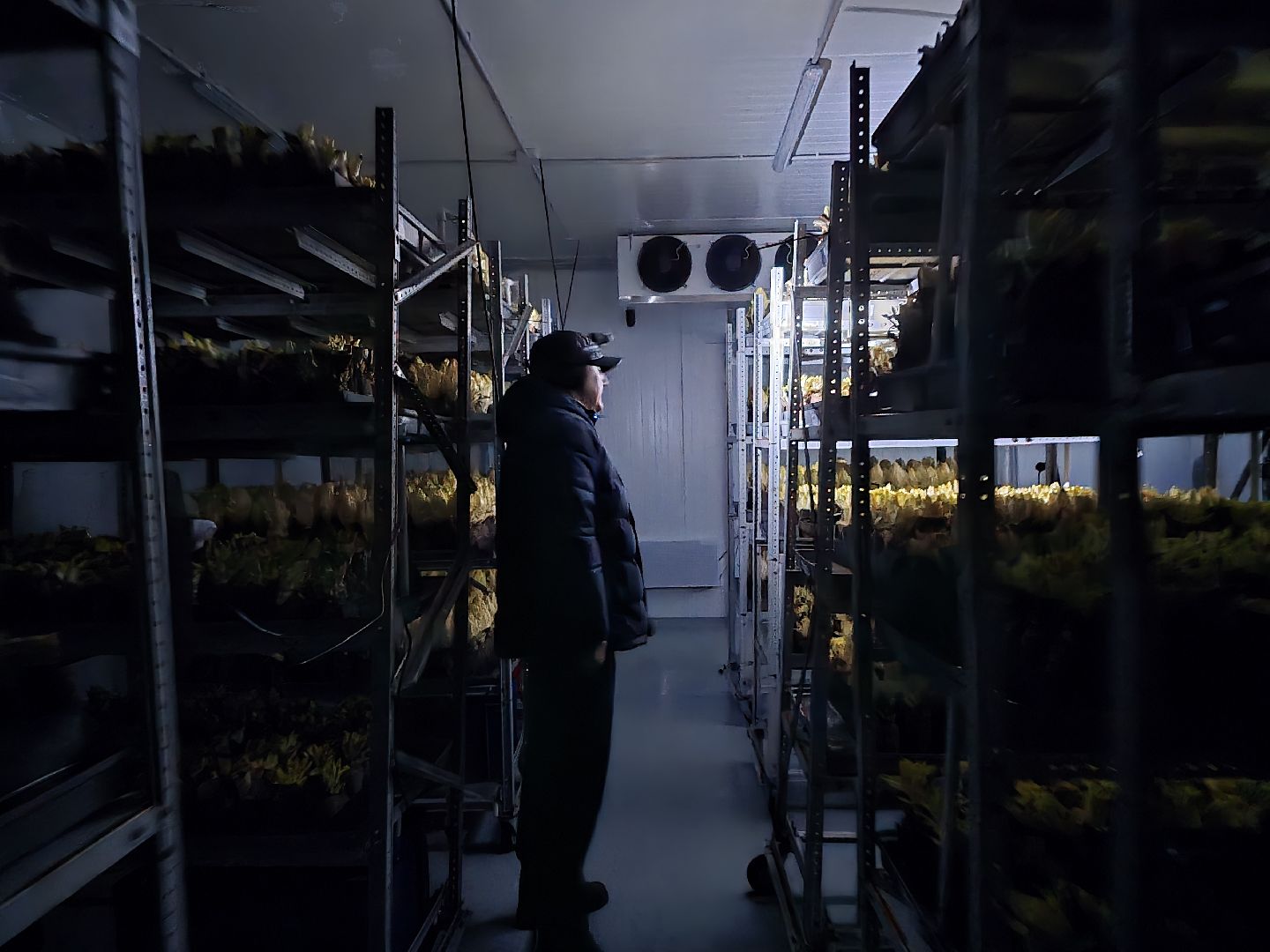 Коломна, Озеры, сельское хозяйство,