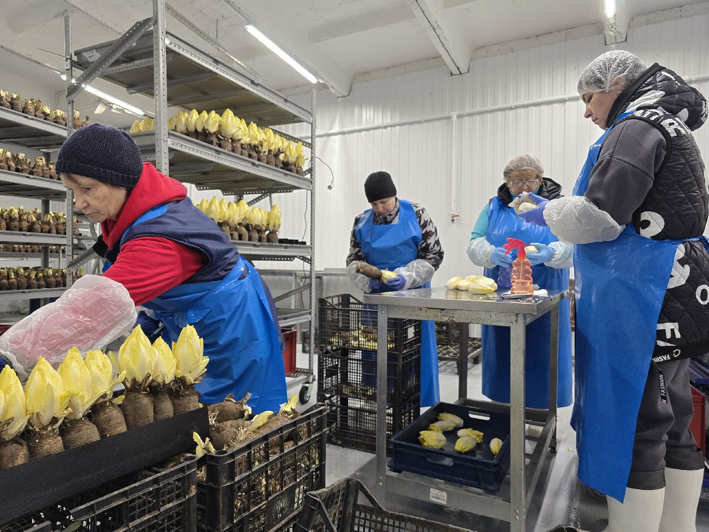 Коломна, Озеры, сельское хозяйство,