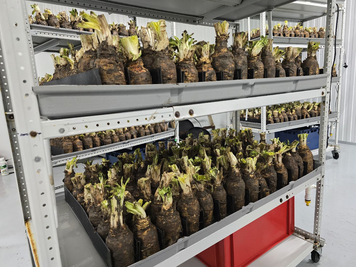 Коломна, Озеры, сельское хозяйство,