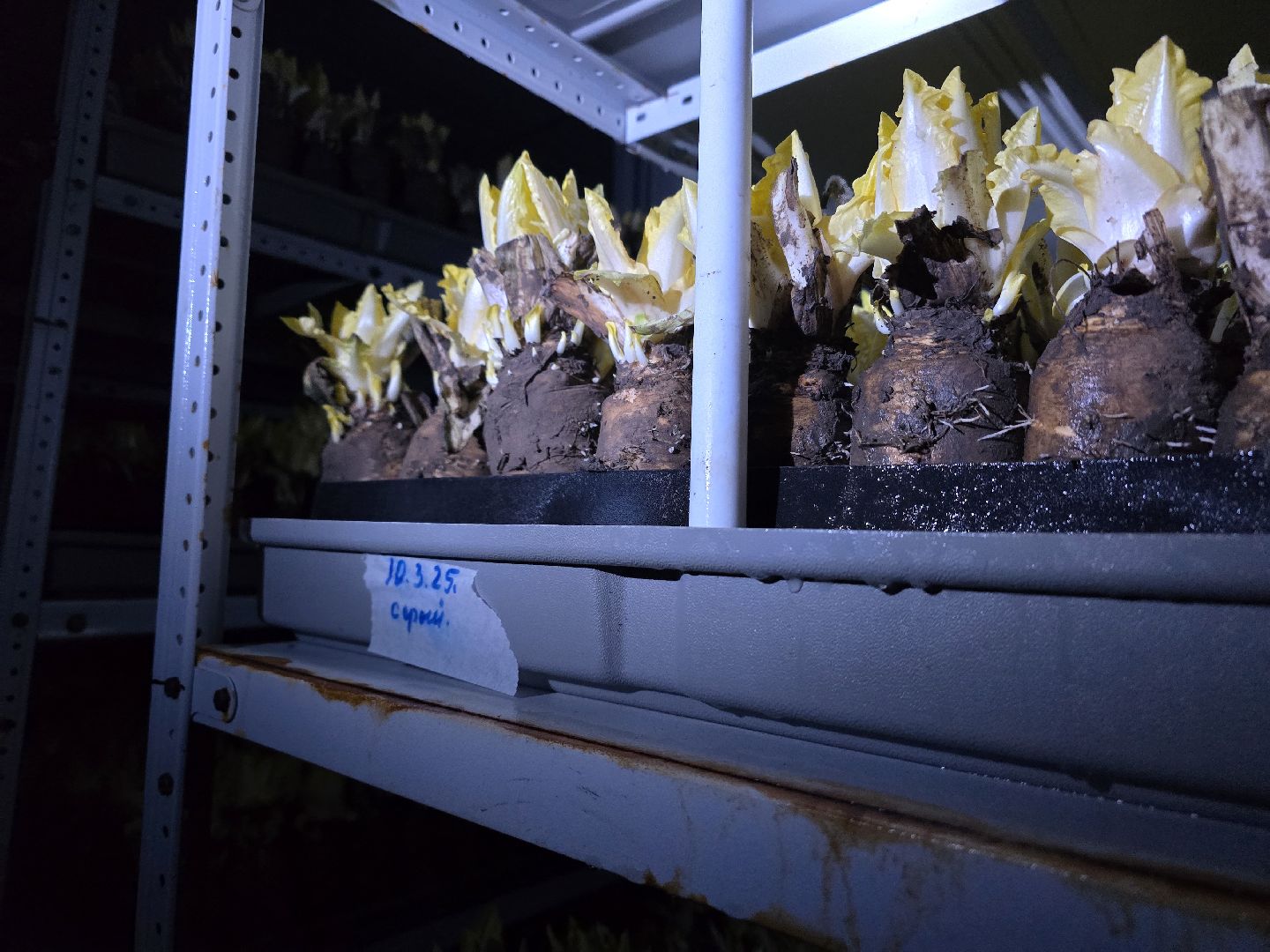 Коломна, Озеры, сельское хозяйство,