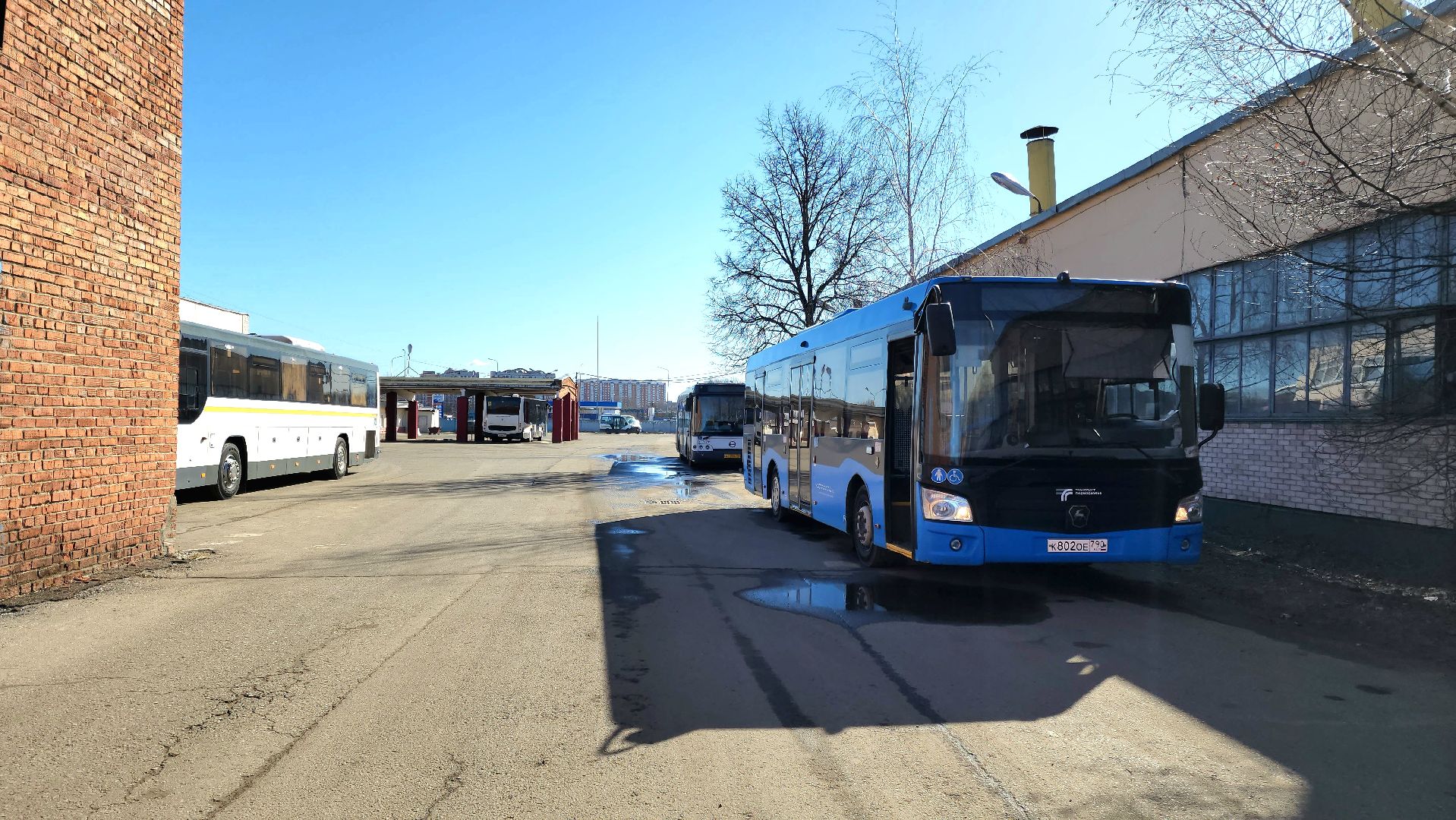 Подольск, автобус, транспорт, водитель автобуса, мострансавто,
