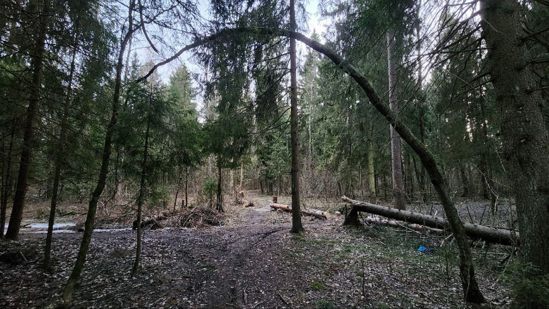 Дмитров, Некрасовский сквер, Минблаго,