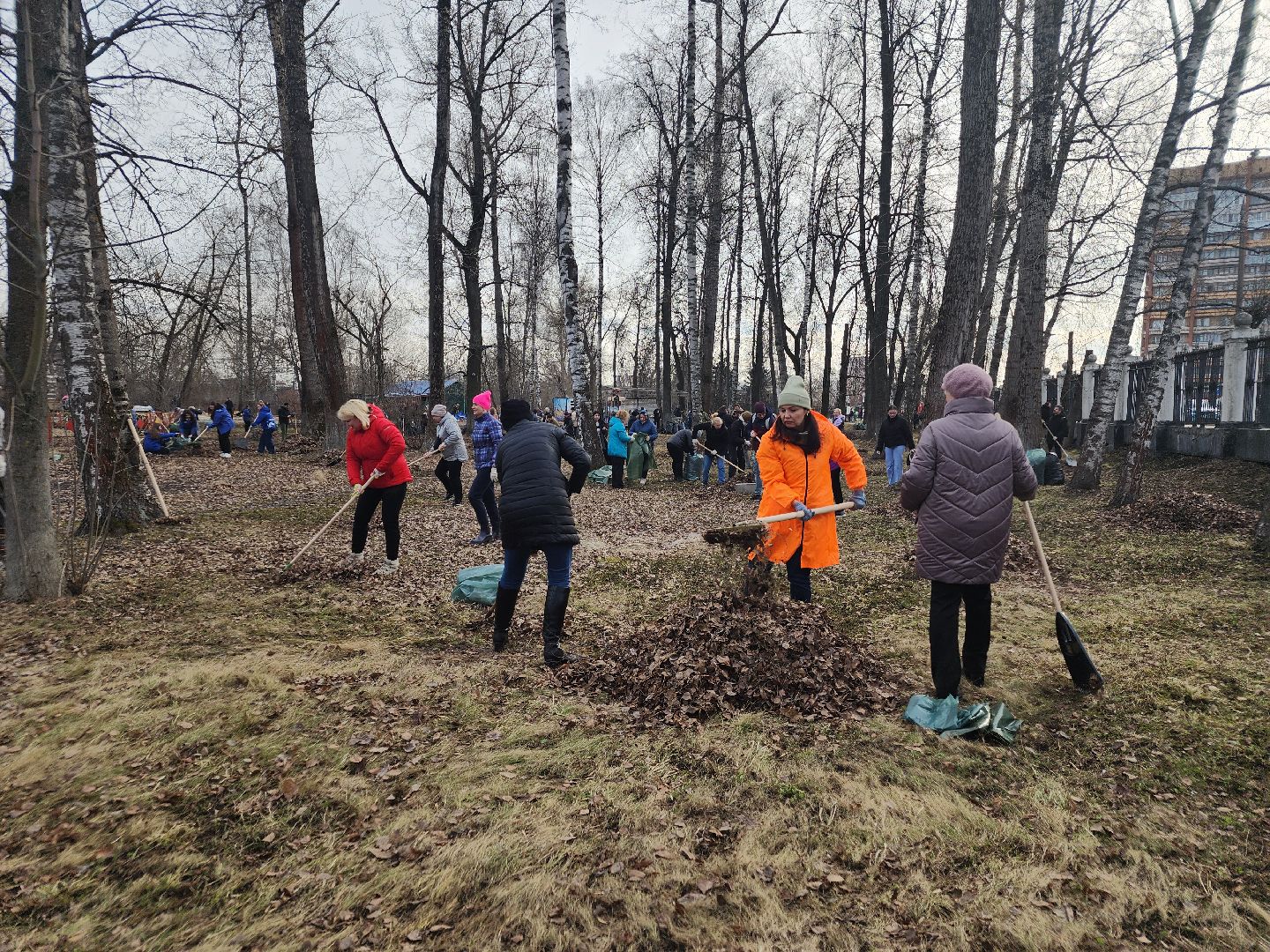 субботники, орехово-зуево,