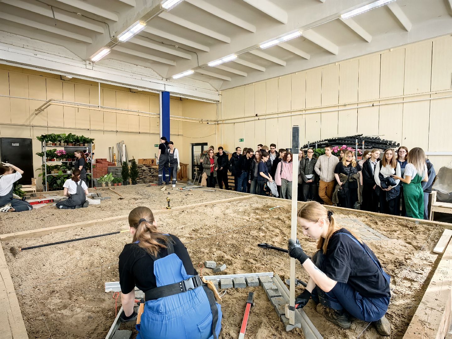 ландшафтный дизайн, специальность, мастерская, колледж,проект,