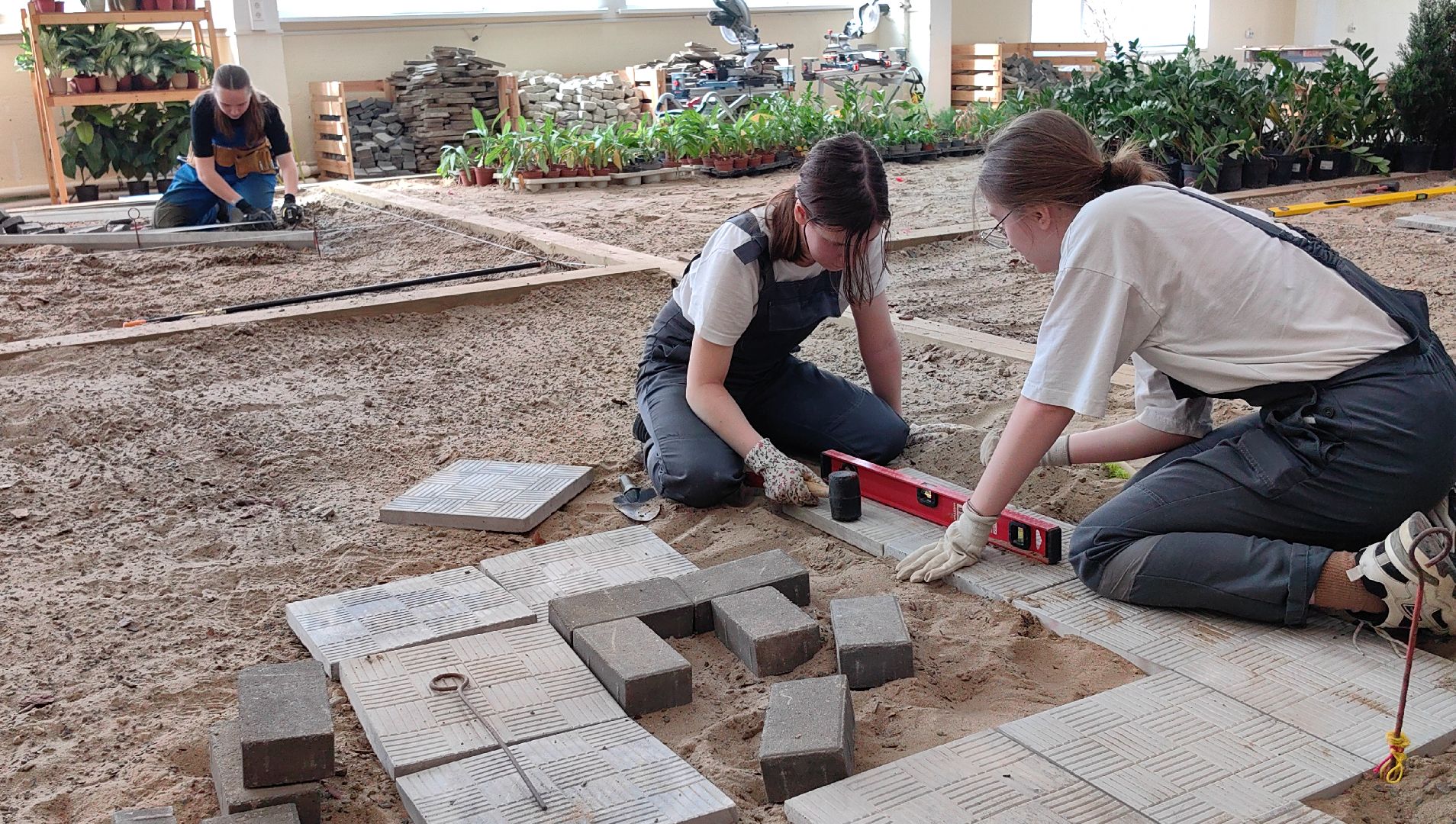 ландшафтный дизайн, специальность, мастерская, колледж,проект,