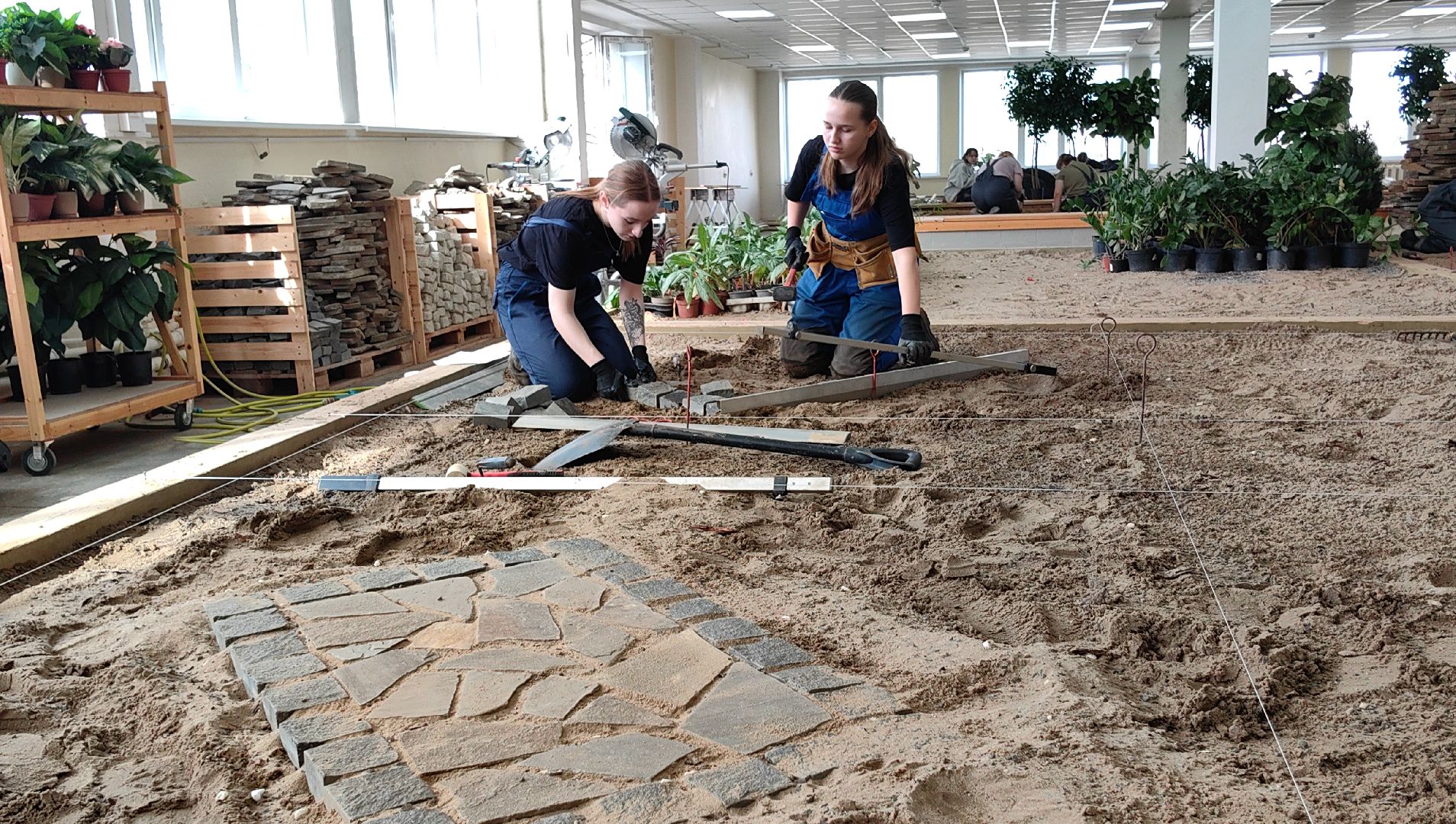 ландшафтный дизайн, специальность, мастерская, колледж,проект,