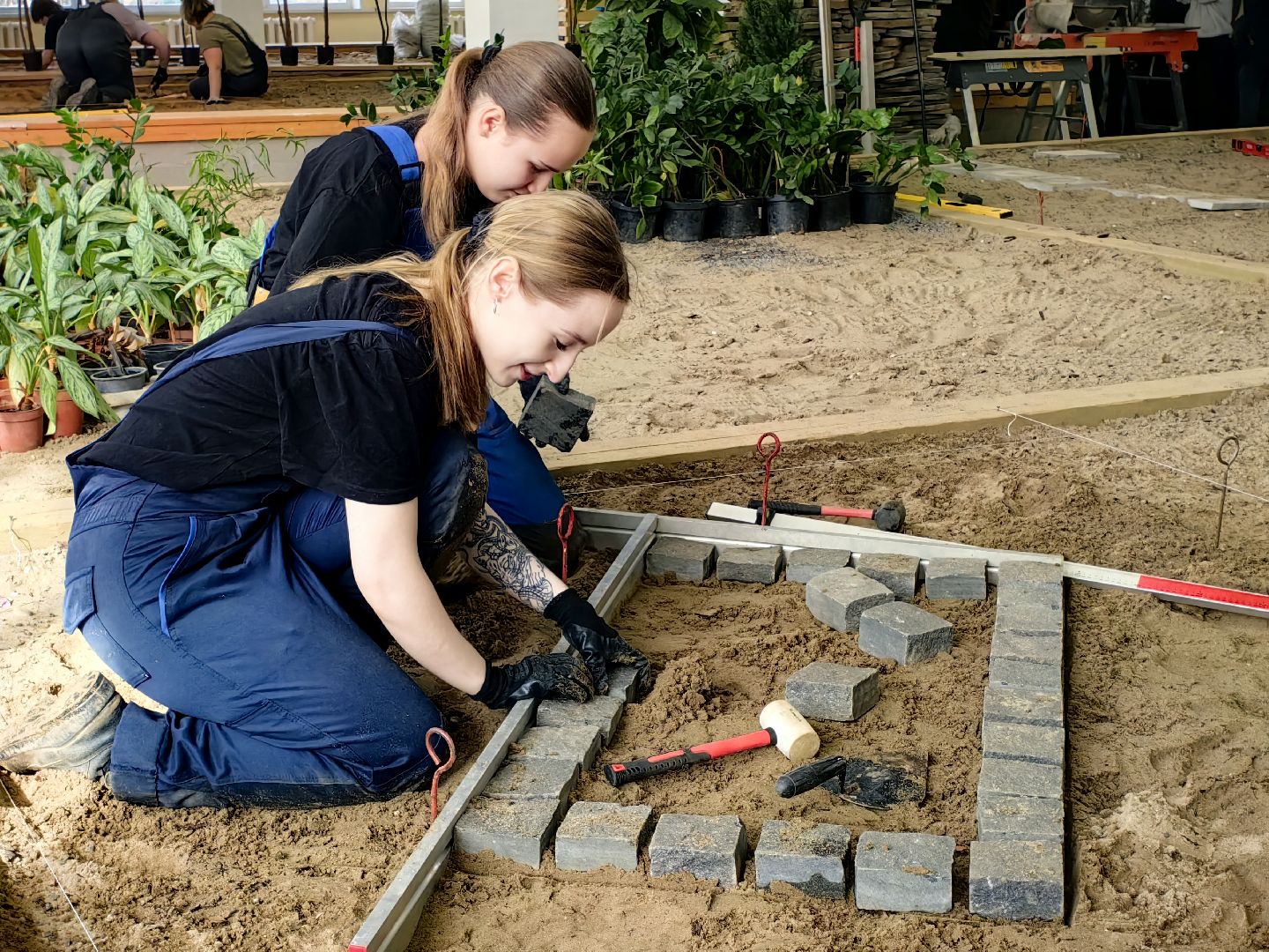 ландшафтный дизайн, специальность, мастерская, колледж,проект,