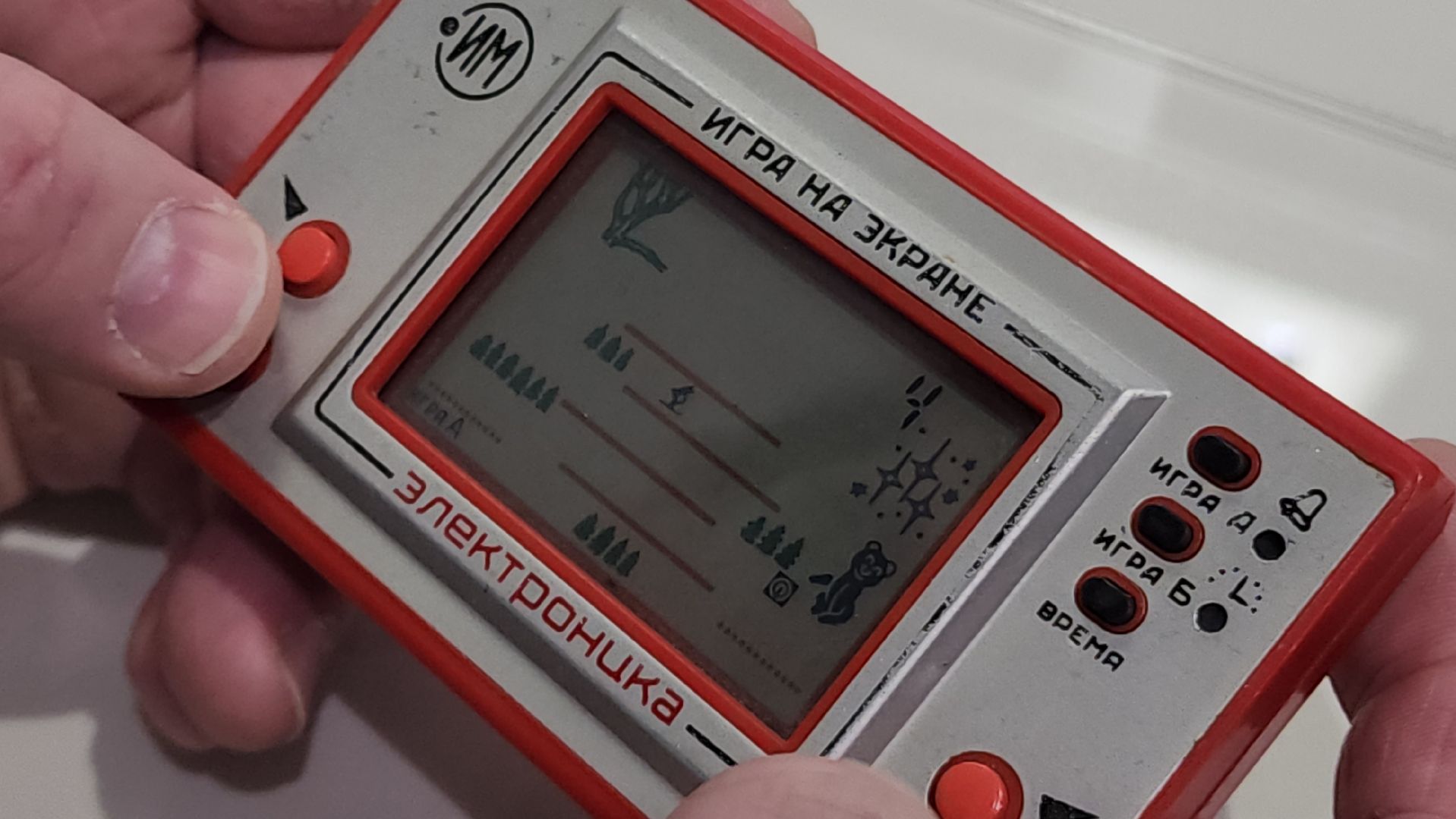 ступино, образование, яндекс музей,