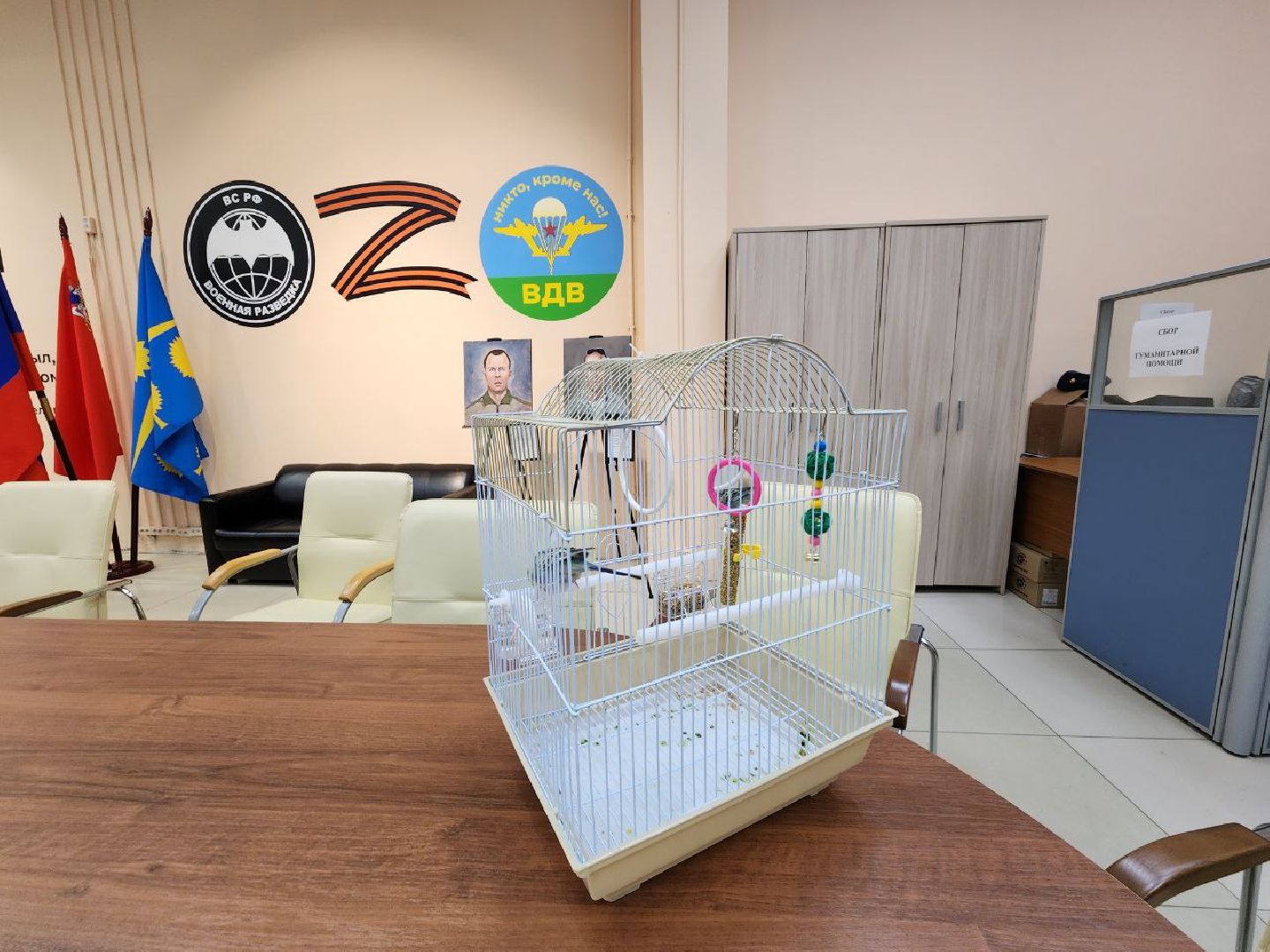 солнечногорск, центр поддержки сво, подарок, попугай, бойцы,