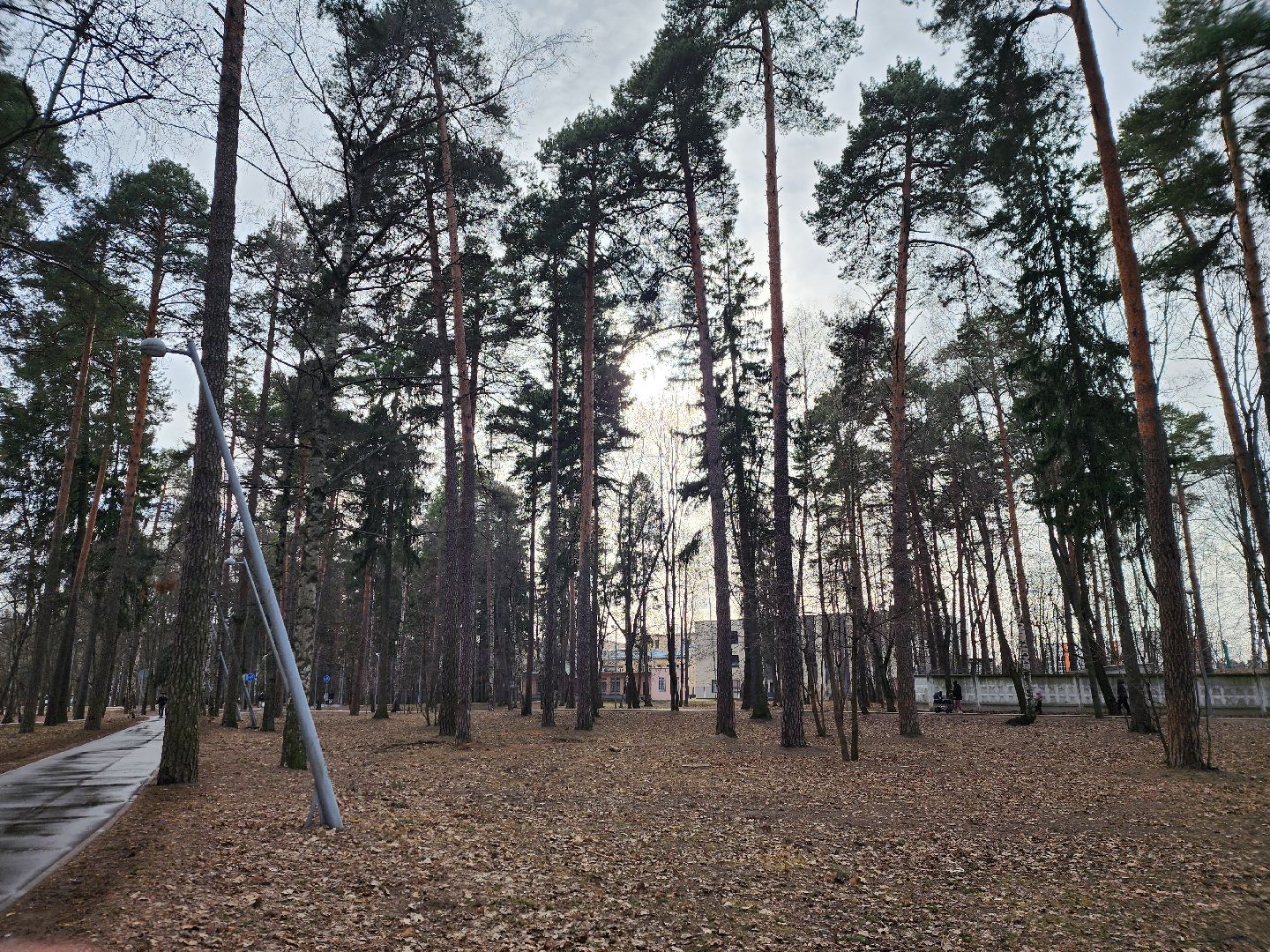 вертикалки, королёв,