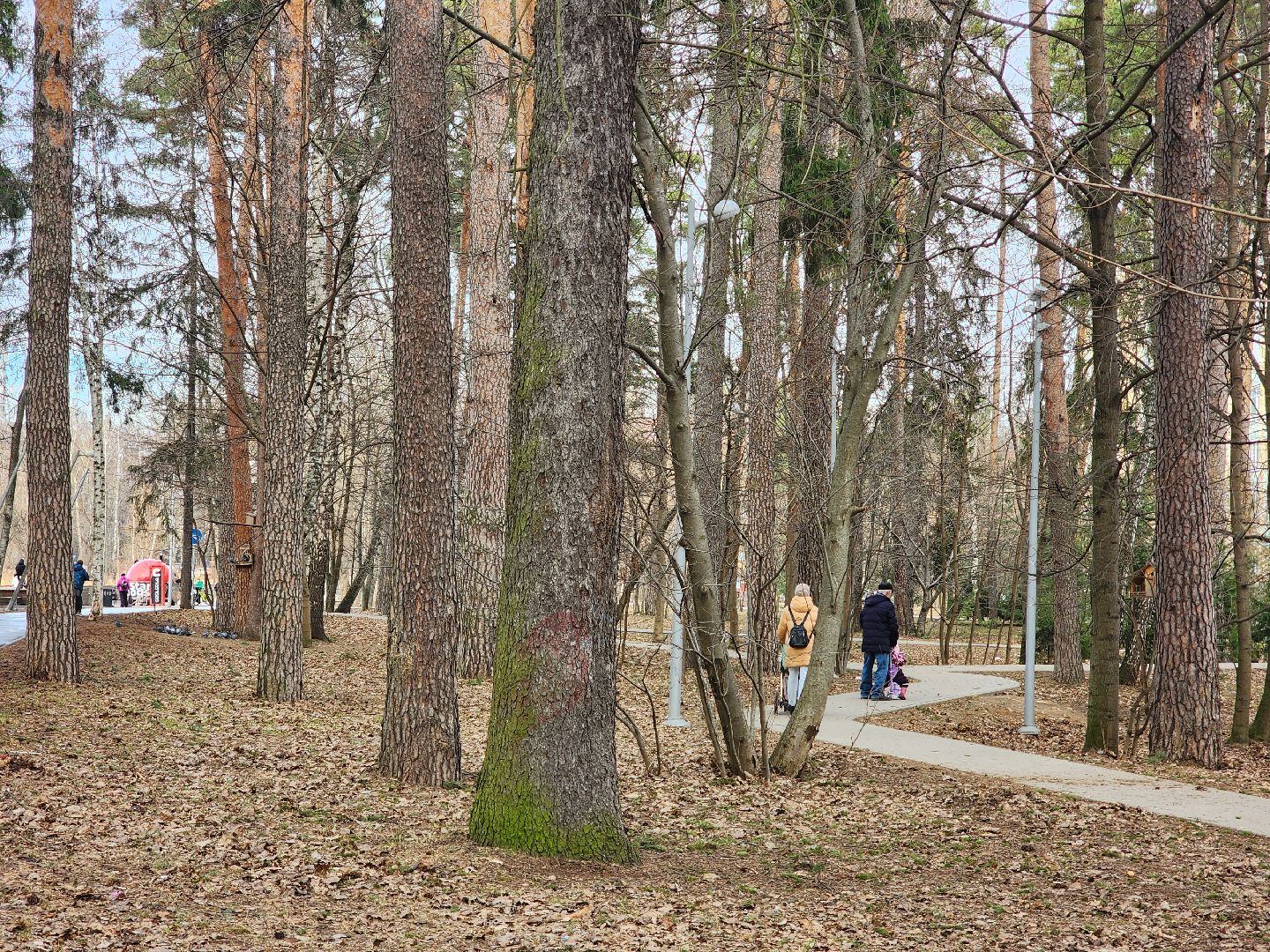 вертикалки, королёв,