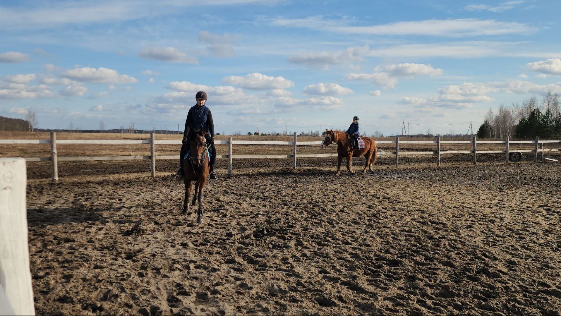 луховицы, конные прогулки, конный спорт,