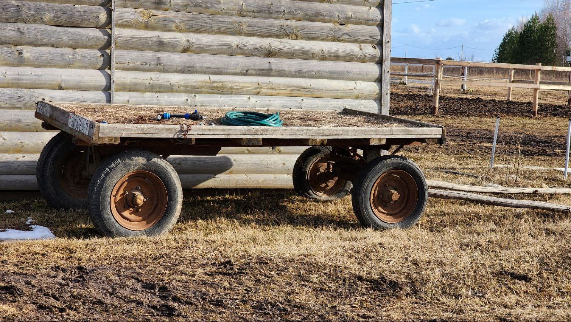 луховицы, конные прогулки, конный спорт,