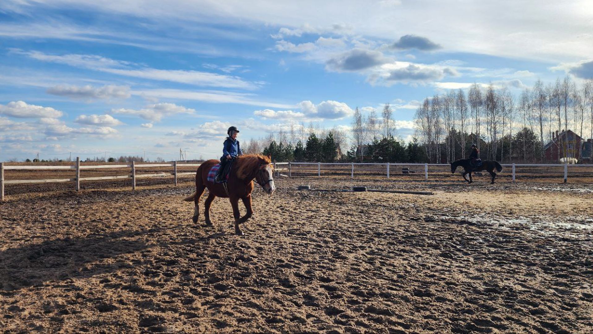 луховицы, конные прогулки, конный спорт,