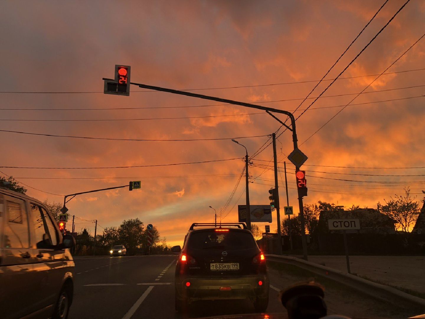 психология, природа, советы врачей,