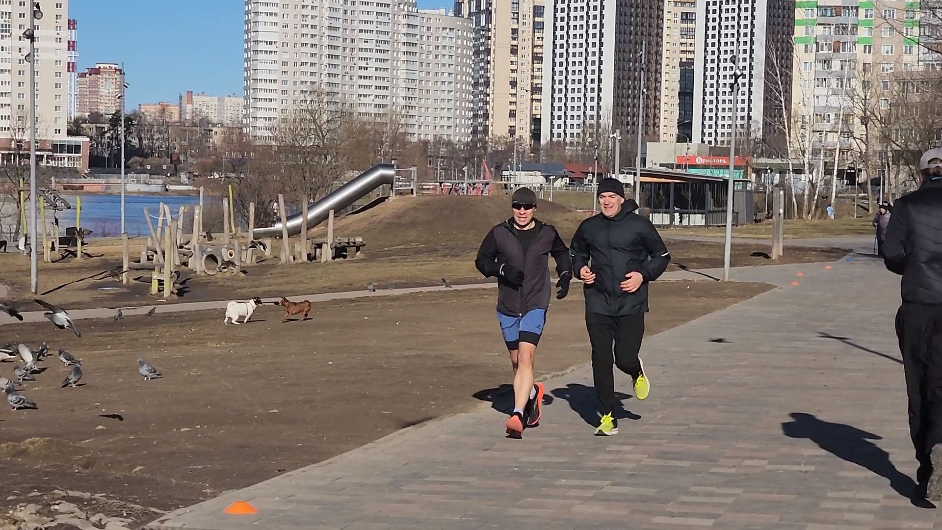 пушкино, спорт, бегун, марафон,