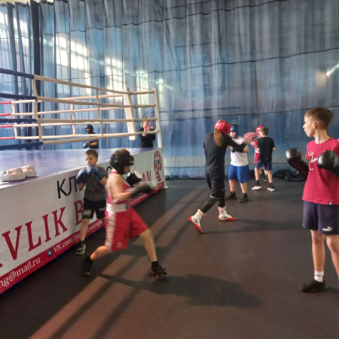 сергиев посад, бокс, луч, школа центр, победительница соревнований,