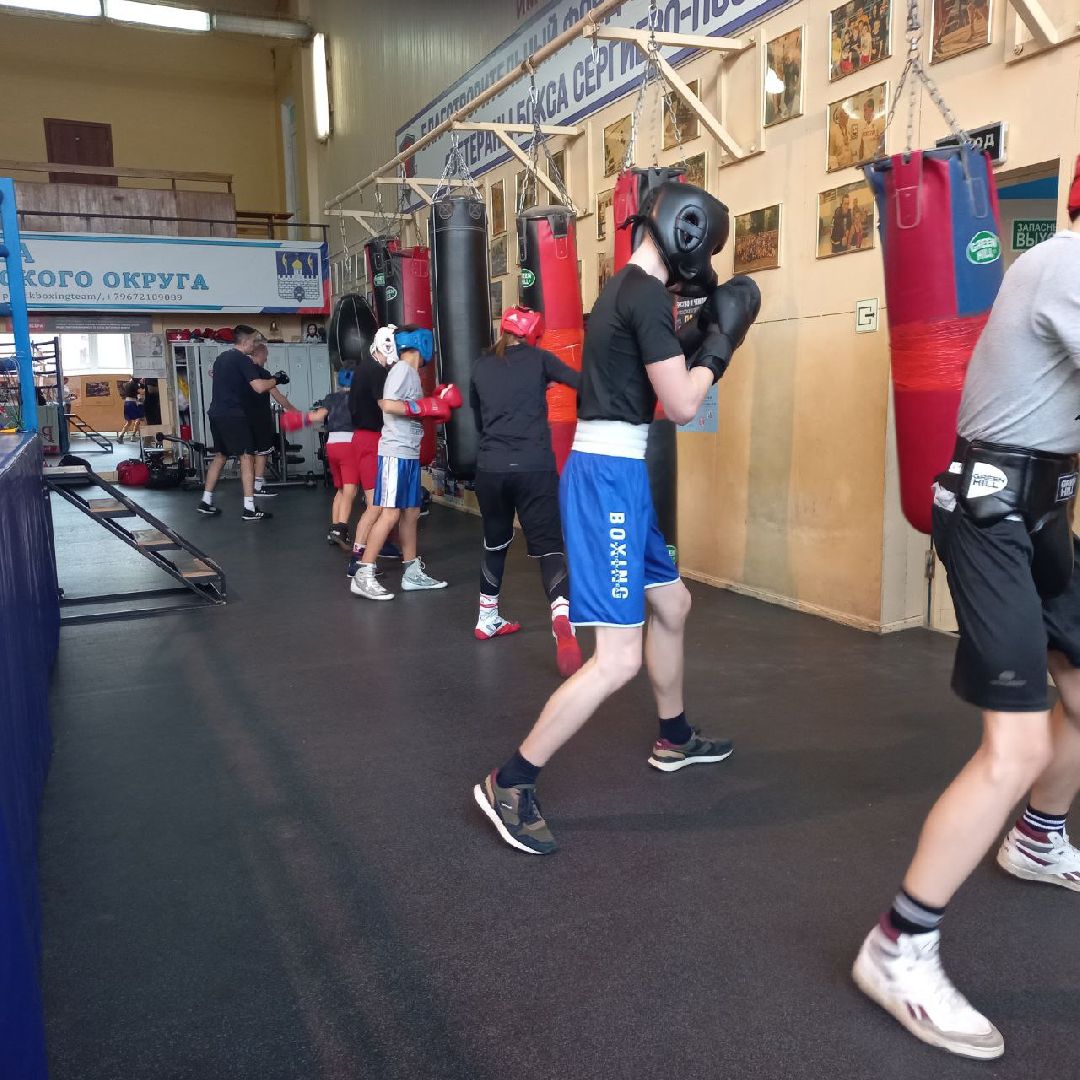 сергиев посад, бокс, луч, школа центр, победительница соревнований,