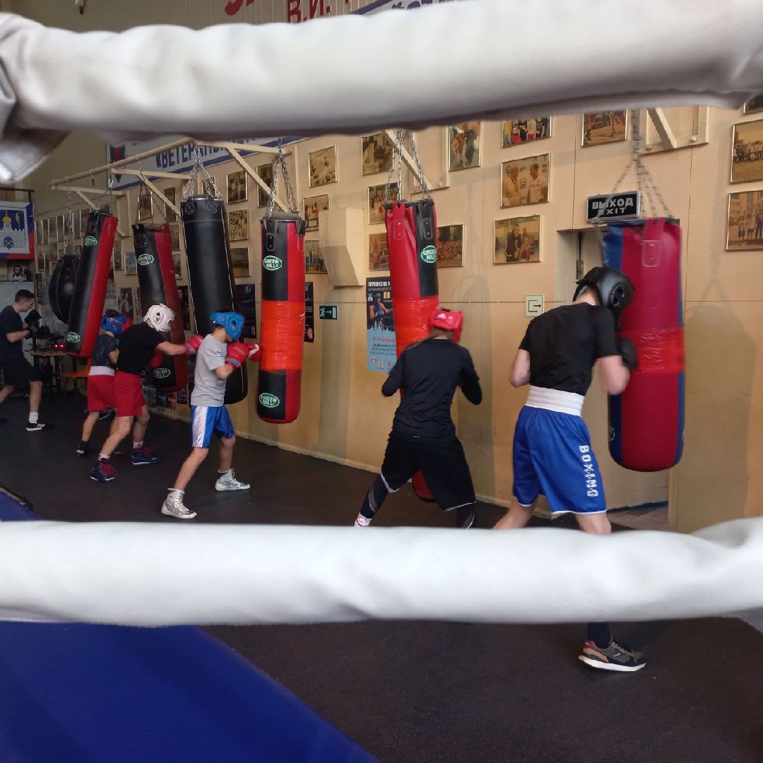 сергиев посад, бокс, луч, школа центр, победительница соревнований,