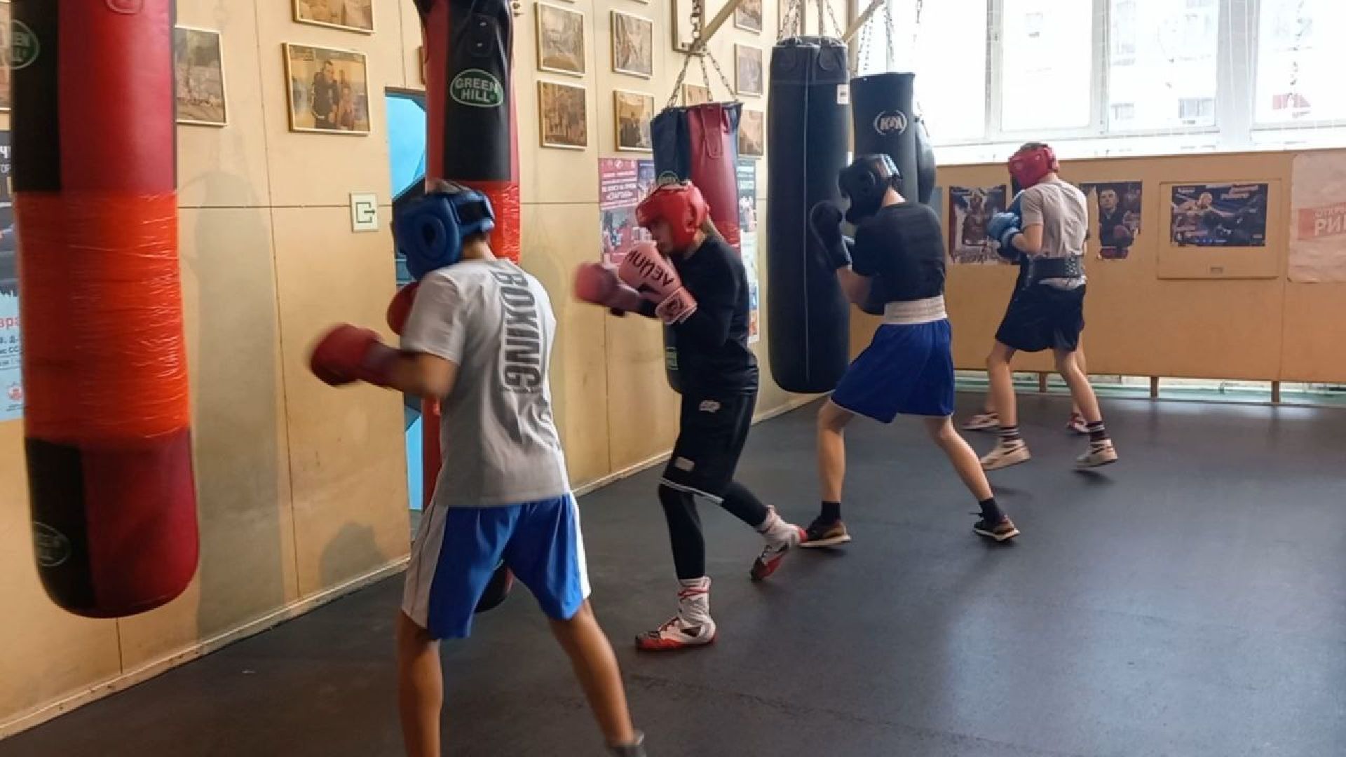 сергиев посад, бокс, луч, школа центр, победительница соревнований,