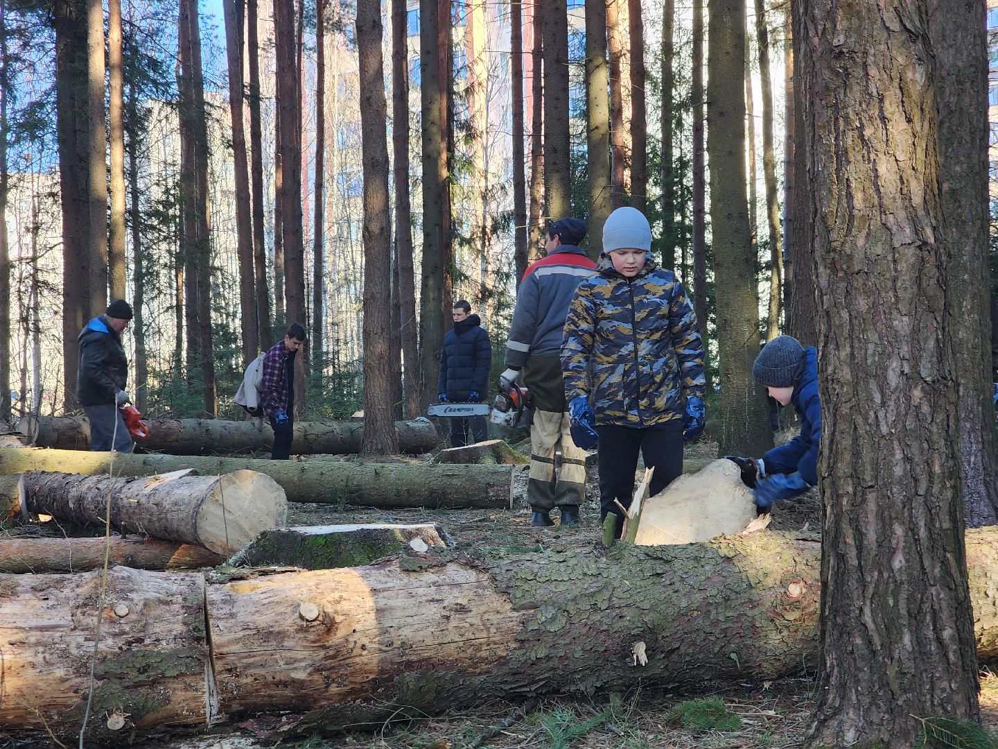 дубна, мемориальный комплекс, братская могила, субботник, глава городского округа, благоуйстройство, уборка леса,