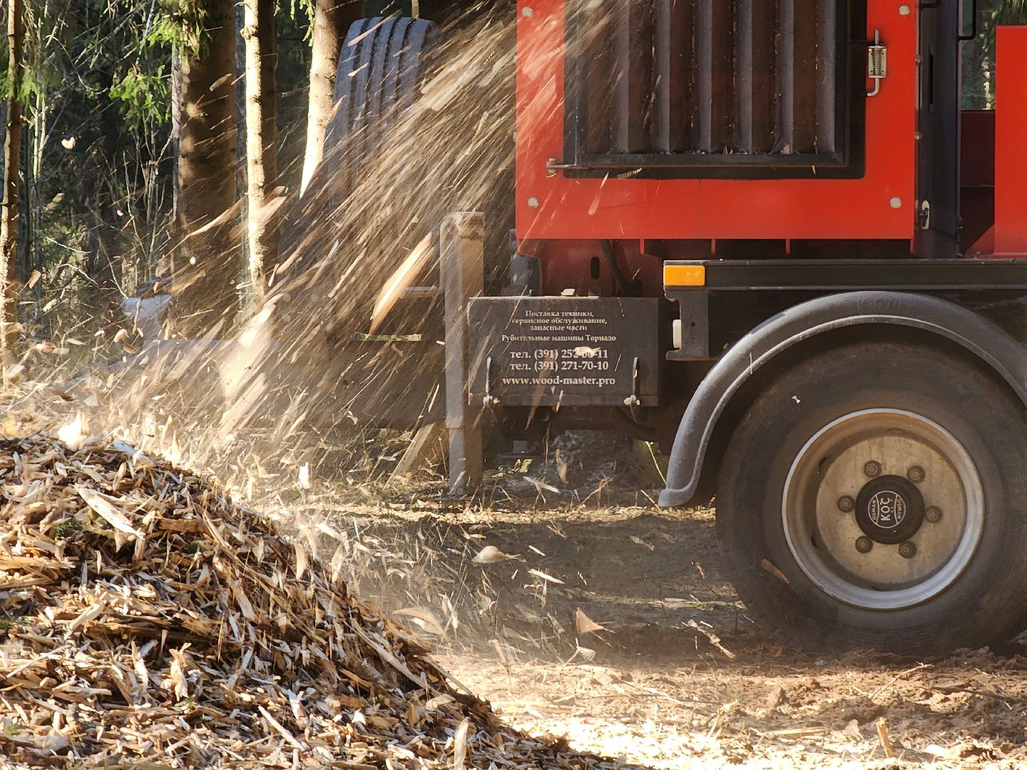 дубна, мемориальный комплекс, братская могила, субботник, глава городского округа, благоуйстройство, уборка леса,