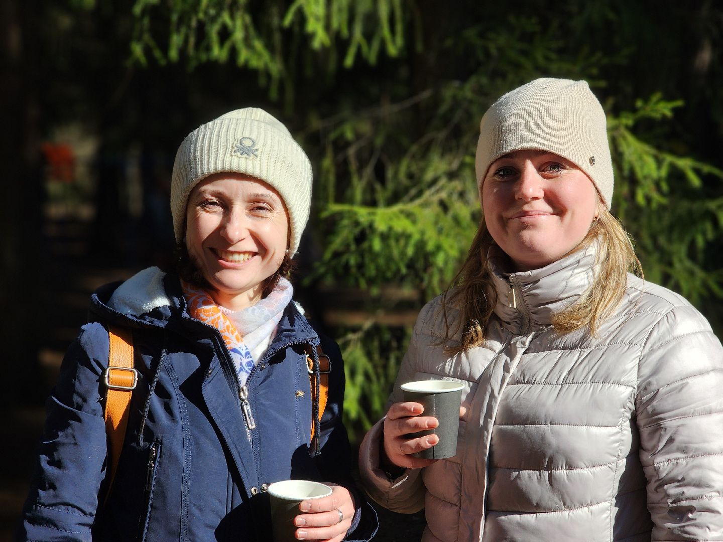 дубна, мемориальный комплекс, братская могила, субботник, глава городского округа, благоуйстройство, уборка леса,