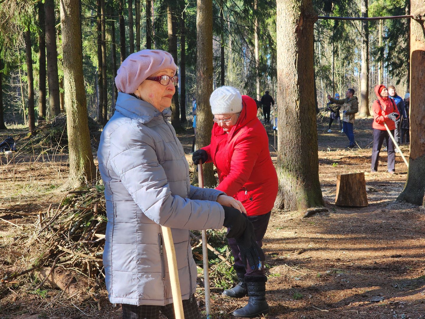 дубна, мемориальный комплекс, братская могила, субботник, глава городского округа, благоуйстройство, уборка леса,