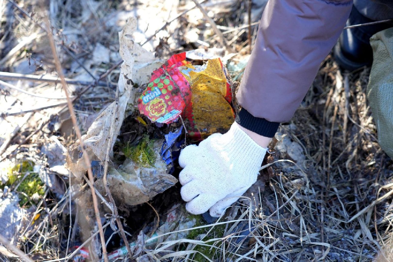 субботник, уборка, благоустройство, сергиев посад, сергиево-посадский городской округ,