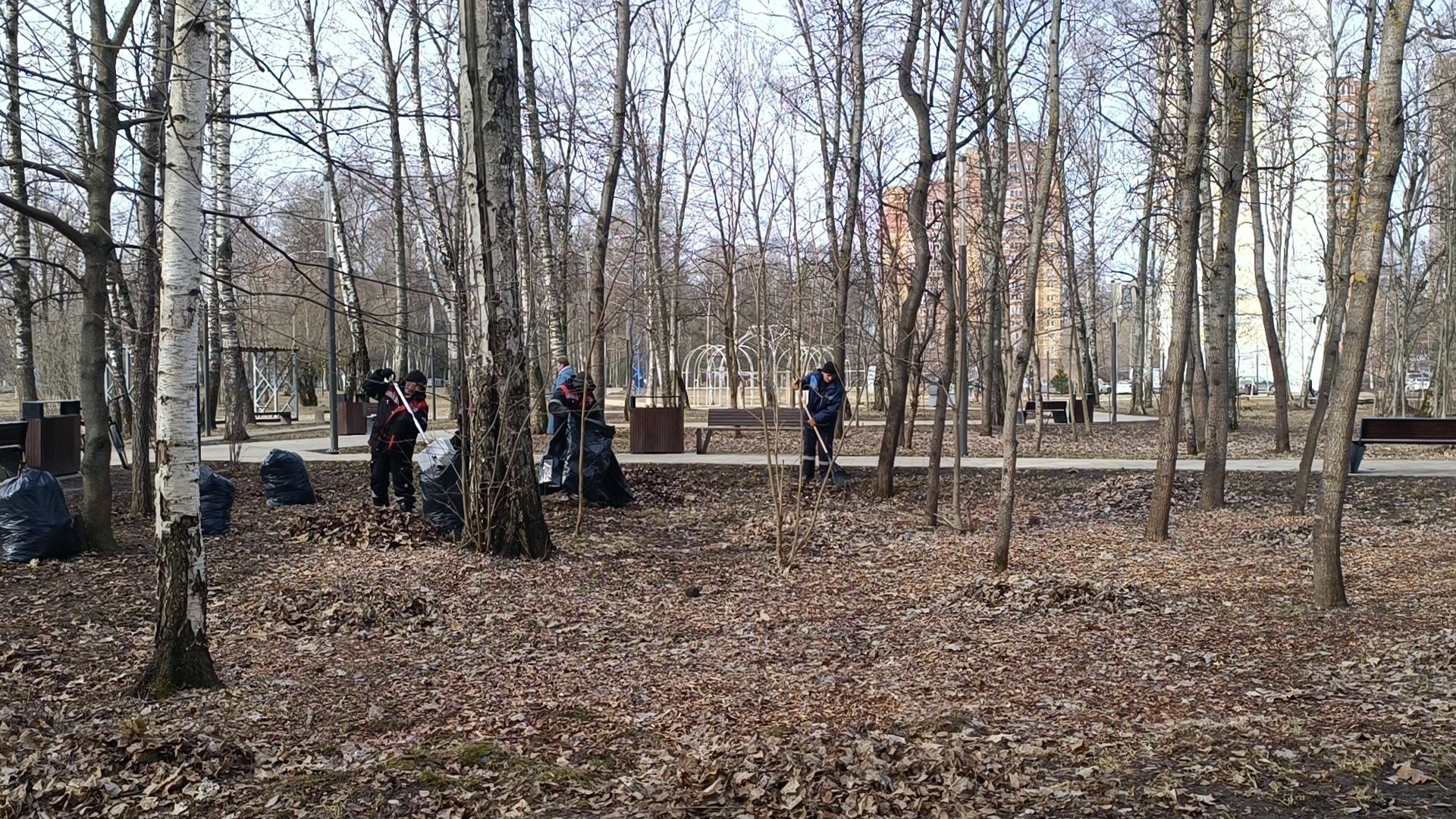 парк, уборка, лобня,