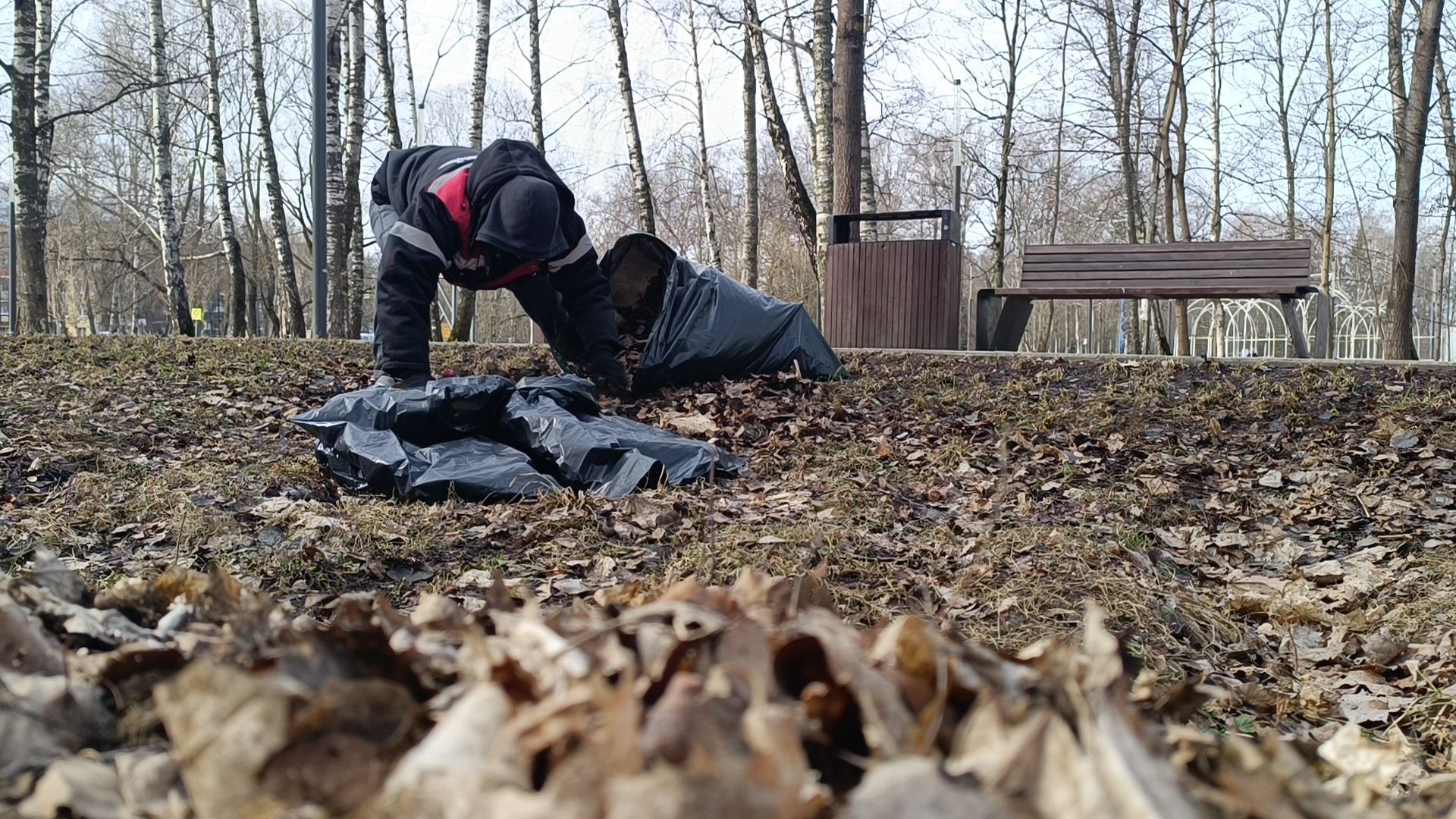 парк, уборка, лобня,