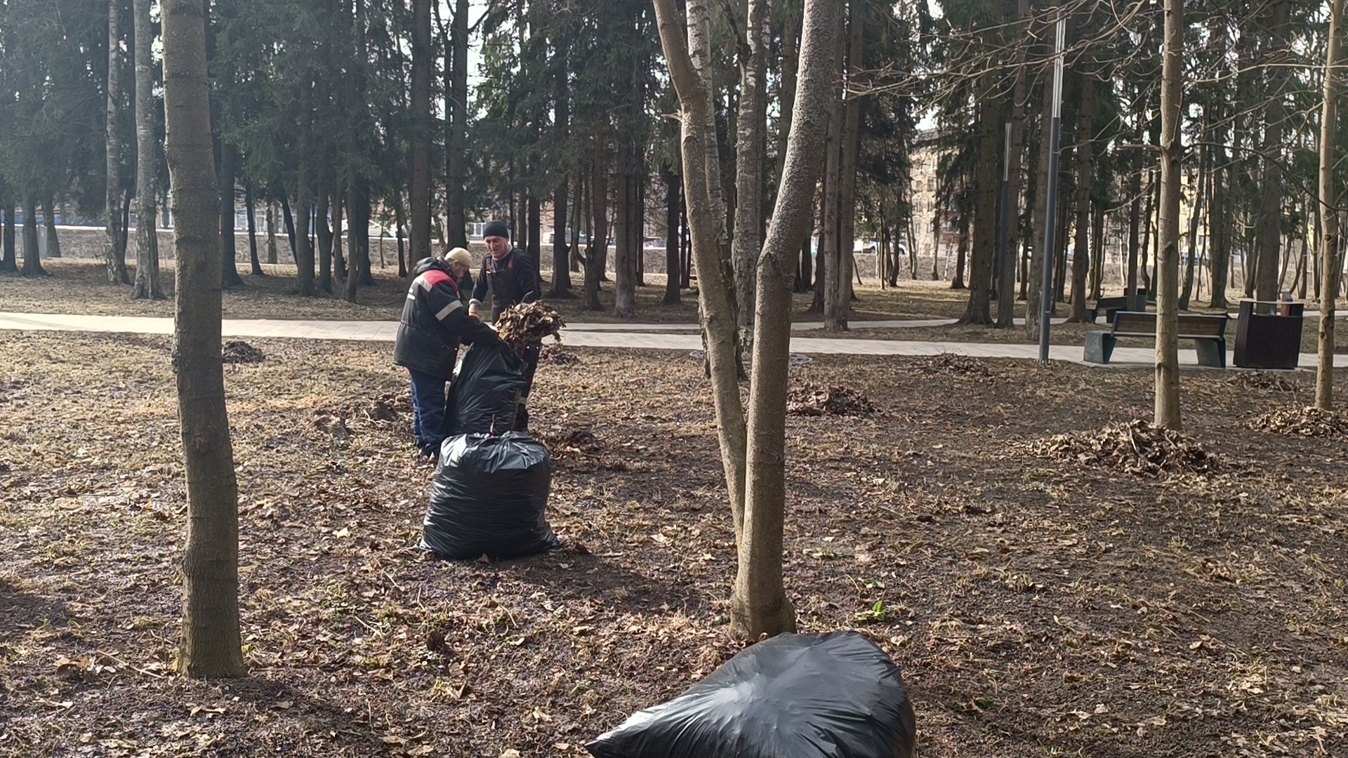 парк, уборка, лобня,