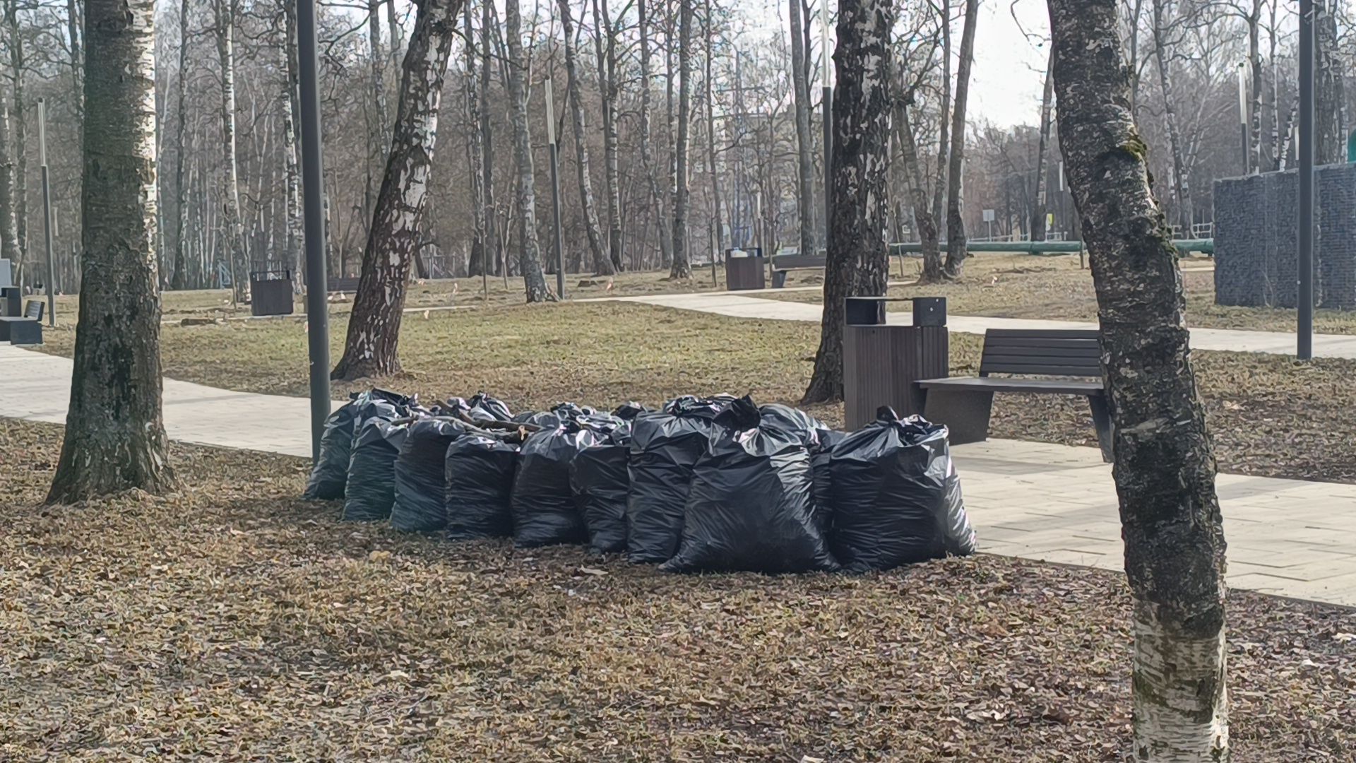 парк, уборка, лобня,