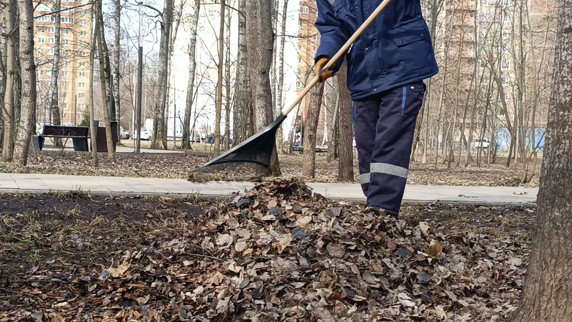парк, уборка, лобня,
