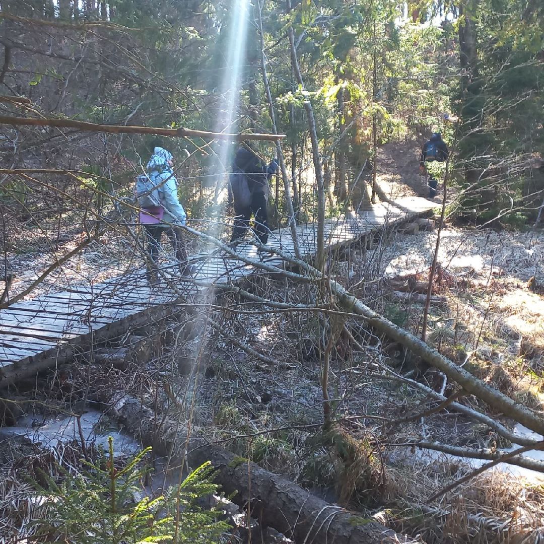 сергиев посад, туризм, история, лес,