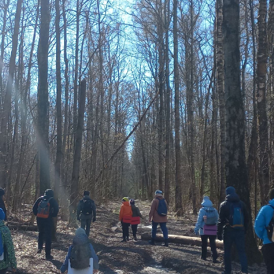 сергиев посад, туризм, история, лес,