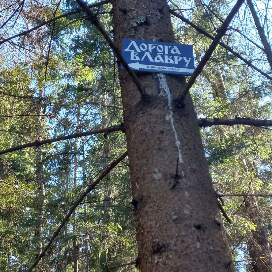 сергиев посад, туризм, история, лес,