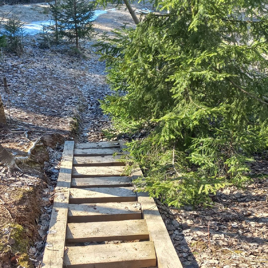 сергиев посад, туризм, история, лес,